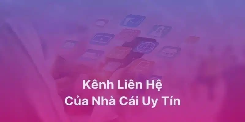 Bí quyết tối ưu hiệu quả khi liên hệ hỗ trợ