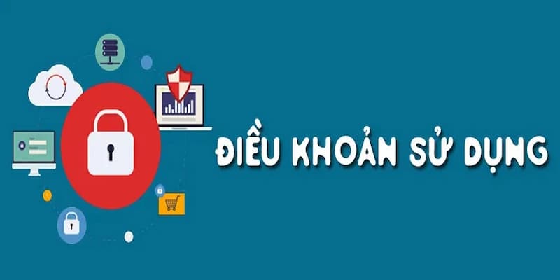 Những lưu ý khi chấp nhận điều khoản sử dụng