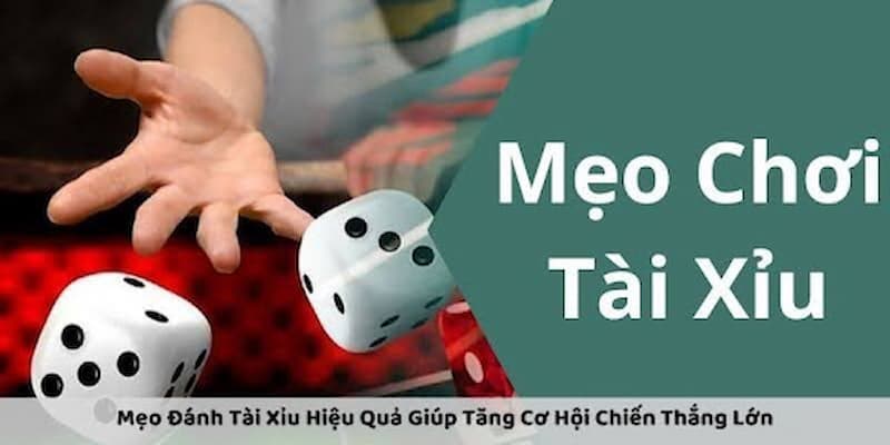 Tổng hợp các mẹo chơi tài xỉu từ cao thủ