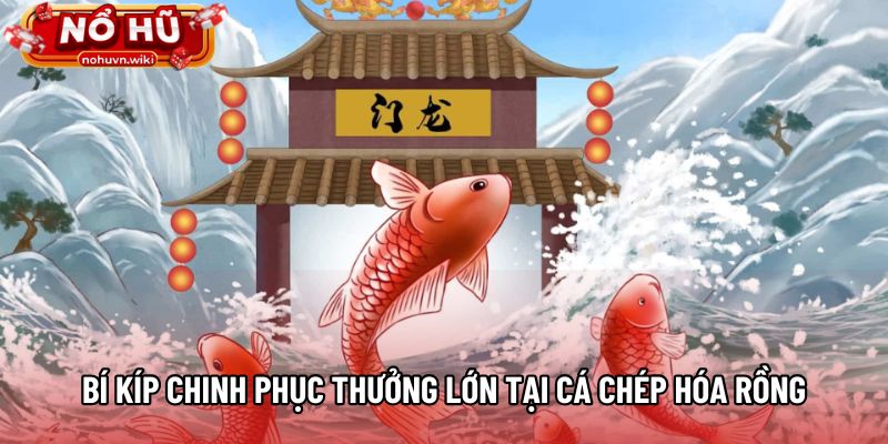 Bí kíp chinh phục thưởng lớn tại Cá Chép Hóa Rồng Bí kíp chinh phục thưởng lớn tại Cá Chép Hóa Rồng