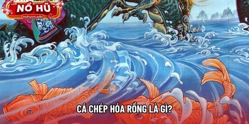 Cá Chép Hóa Rồng là gì? Cá Chép Hóa Rồng là gì?