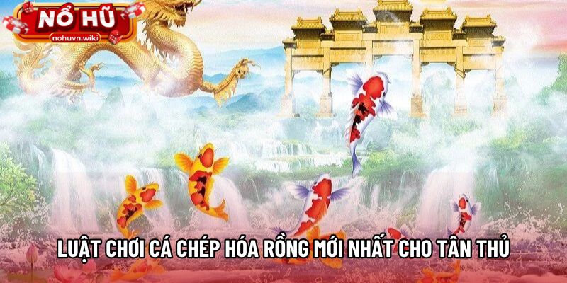 Luật chơi Cá Chép Hóa Rồng mới nhất cho tân thủ Luật chơi Cá Chép Hóa Rồng mới nhất cho tân thủ