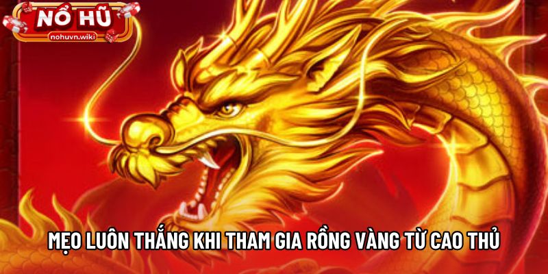 Mẹo luôn thắng khi tham gia Rồng Vàng từ cao thủ
