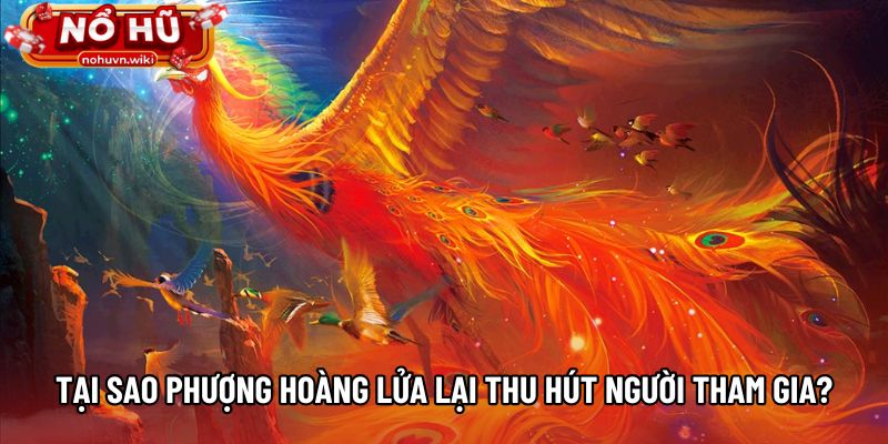 Tại sao Phượng Hoàng Lửa lại thu hút người tham gia? Tại sao Phượng Hoàng Lửa lại thu hút người tham gia?